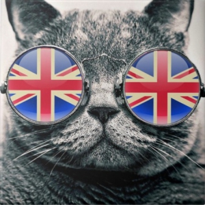 funny_hipster_cat_uk_flag_vintage_glasses_ceramic_tile_r6254de462292488fb64190e0f6f110bd_agtk1_8byvr_540.jpg